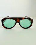 Caribe Tortoise 2074