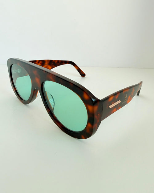 Caribe Tortoise 2074